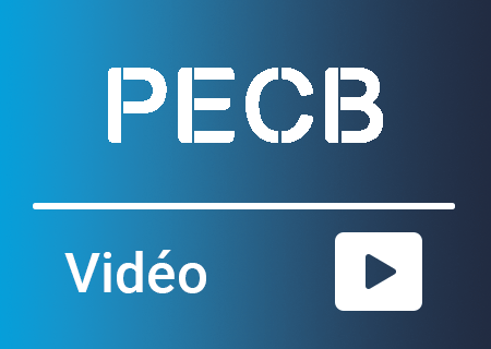 Video Conférence PECB Insights